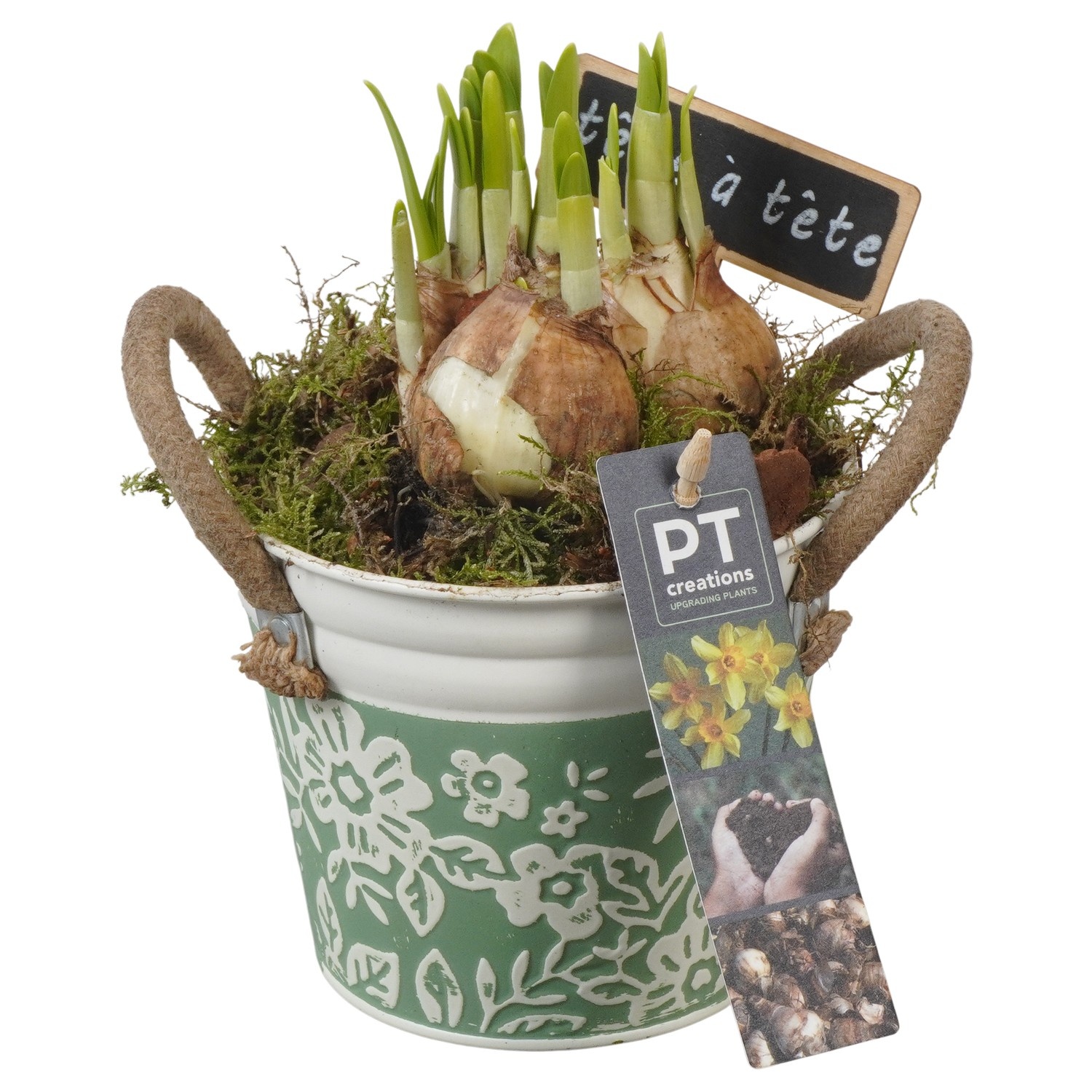 PTN8566 Arrangement Narcissus in zink pot, D 12