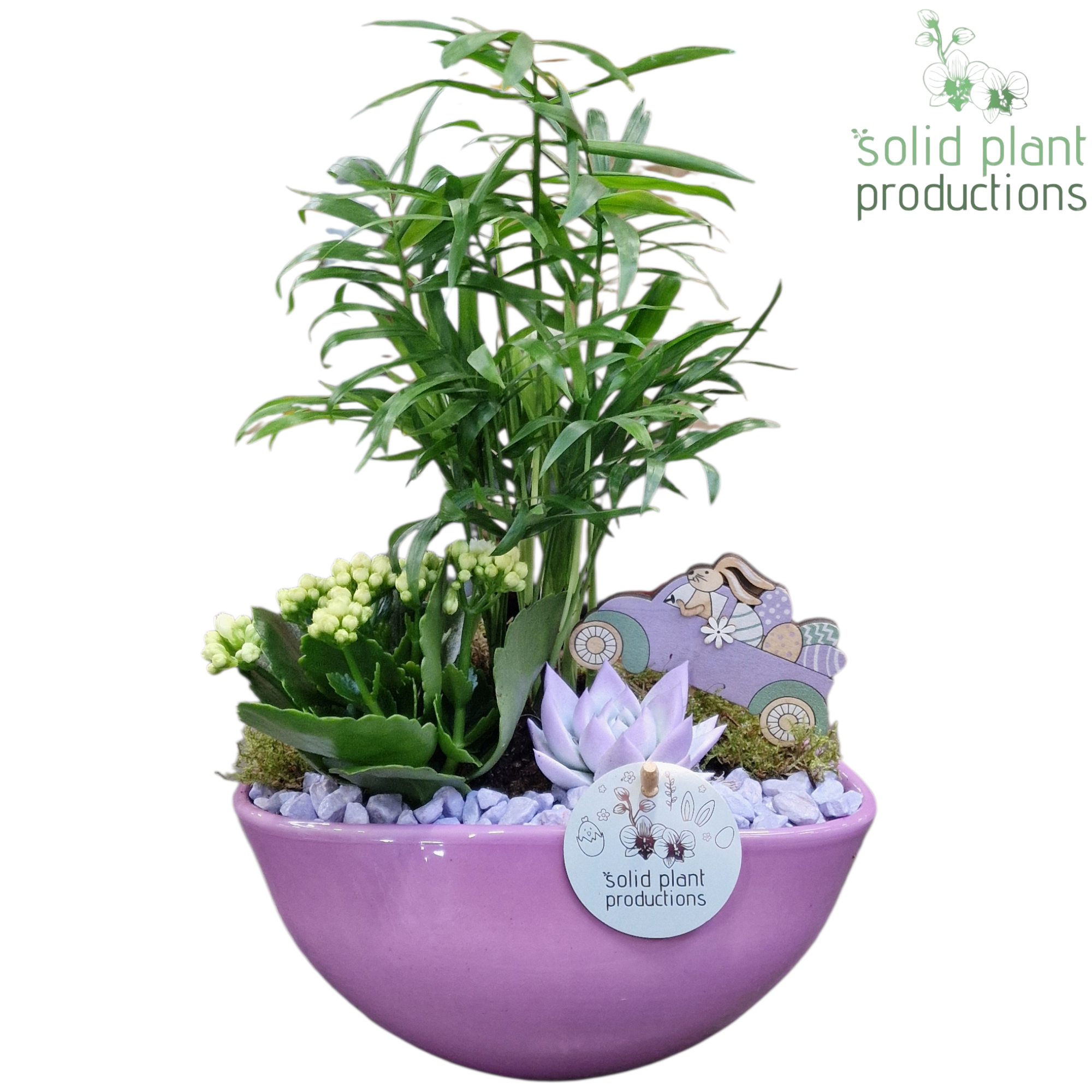 CE005 Evelyn Lila Easter, D 22