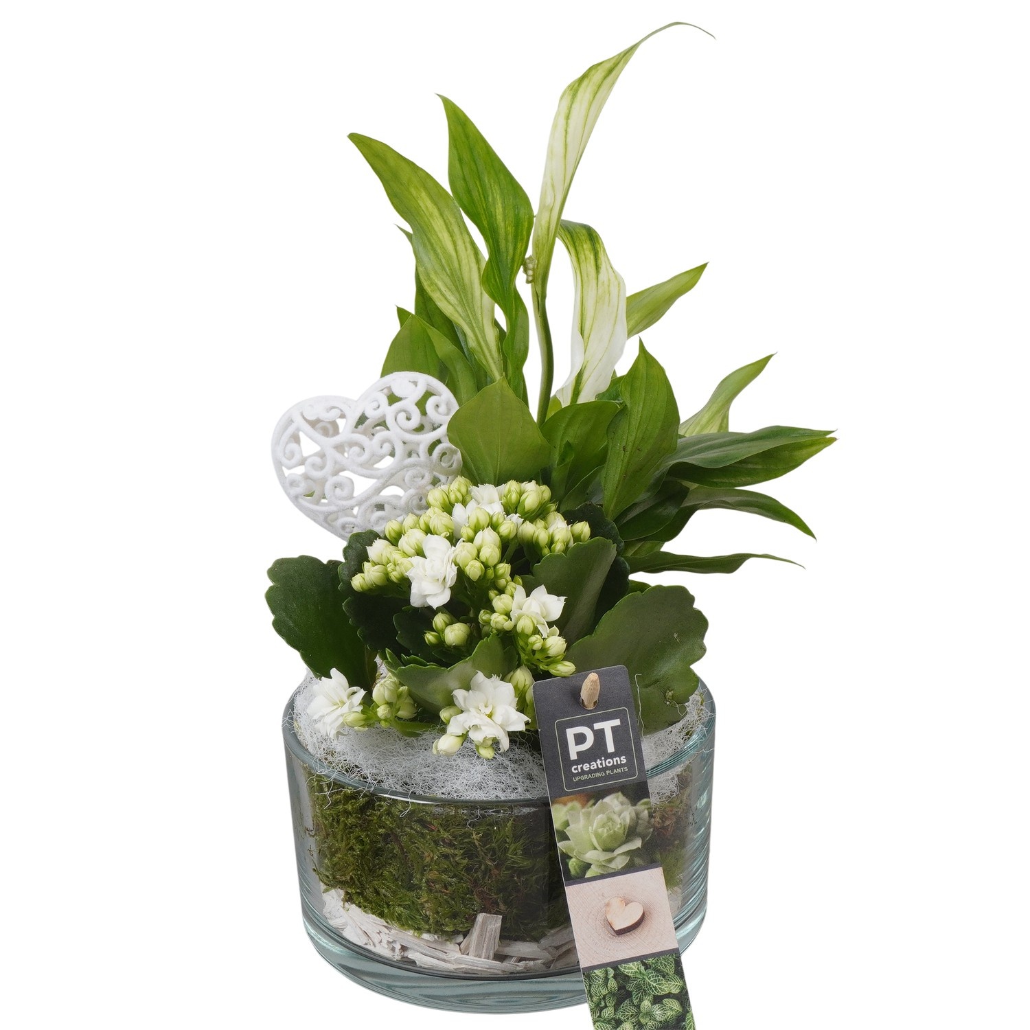 PTVMG4916 Arrangement Valentines-Mothersday in glas schaal, D 14