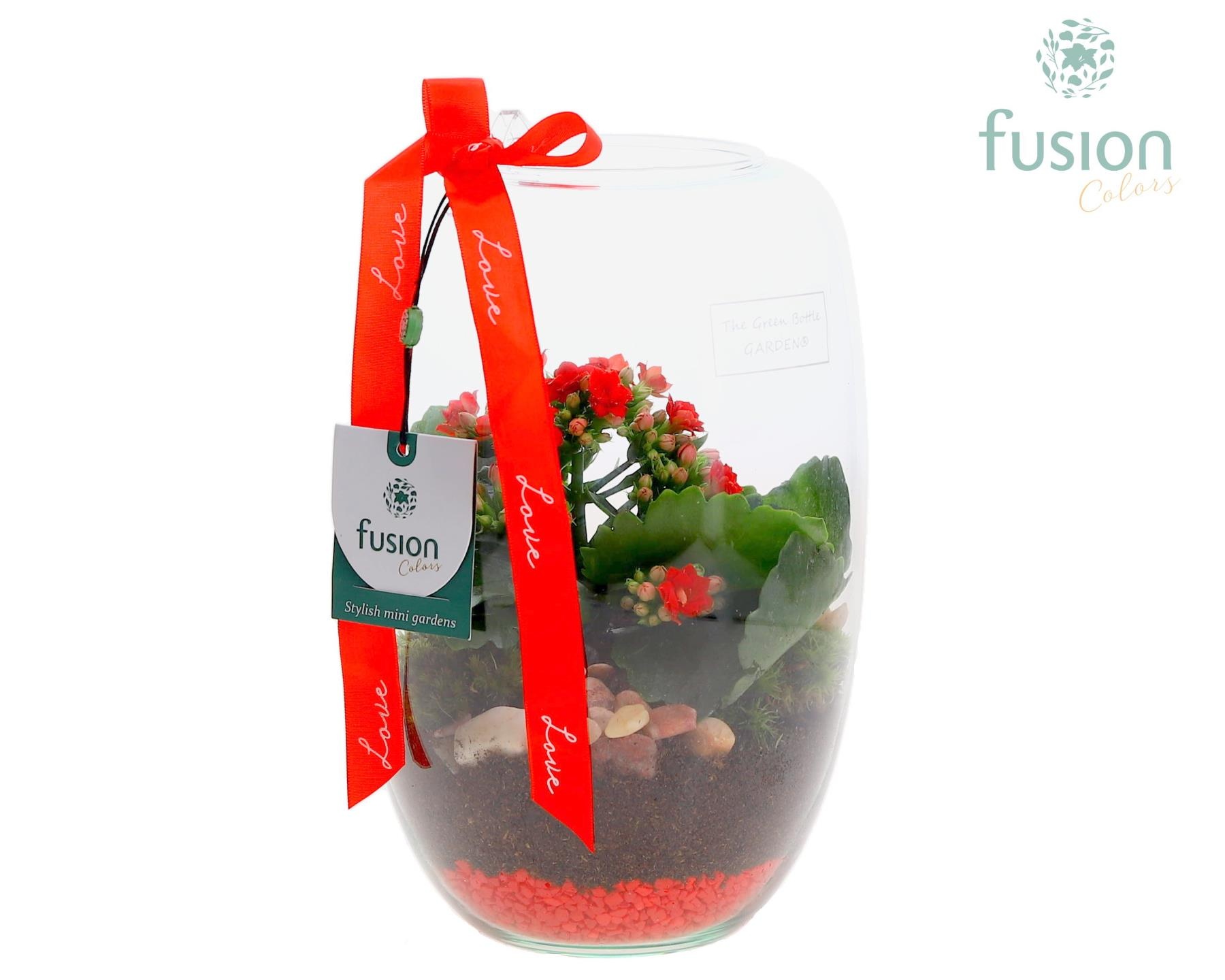 Green Bottle Isabella Small Love met Kalanchoe, D 15