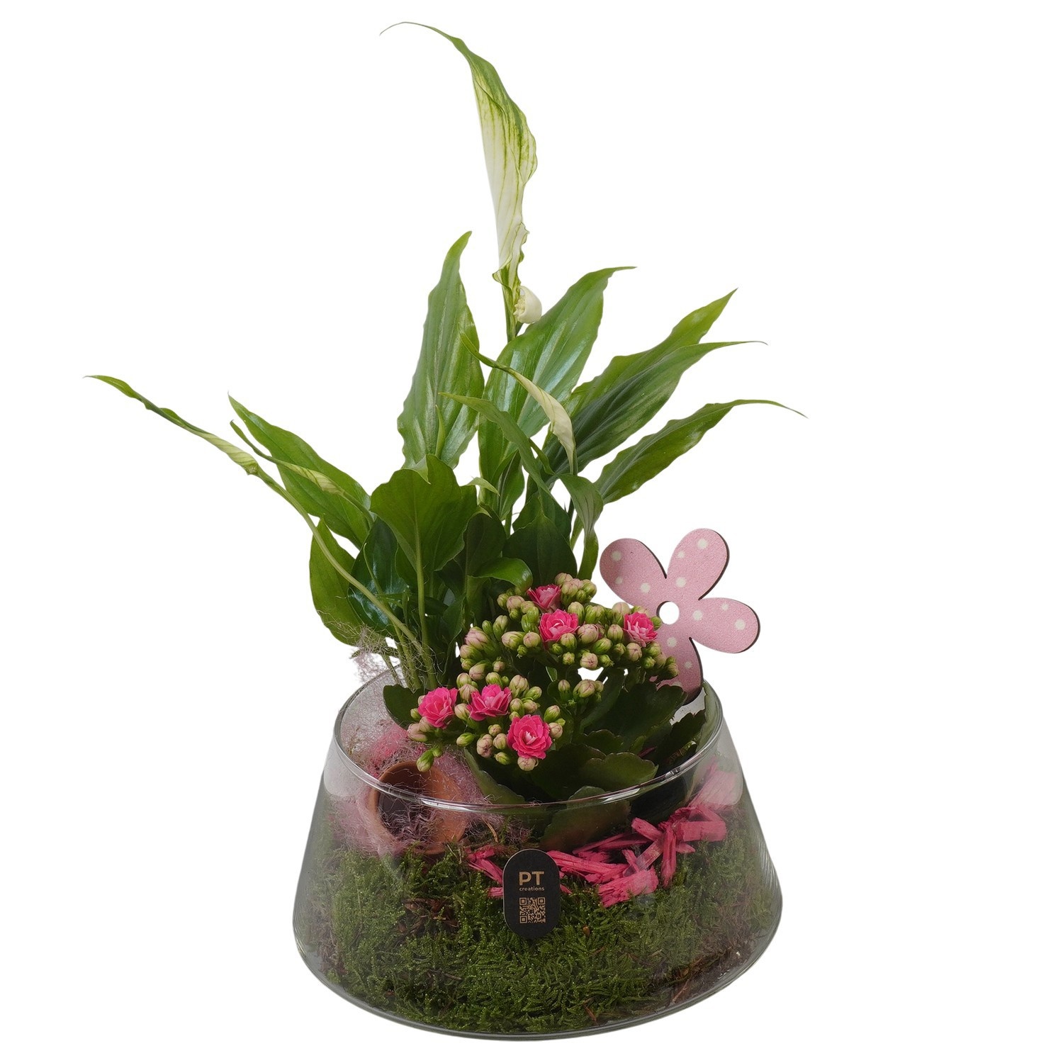 PTIG2642 Arrangement Indoor in glas schaal, D 18