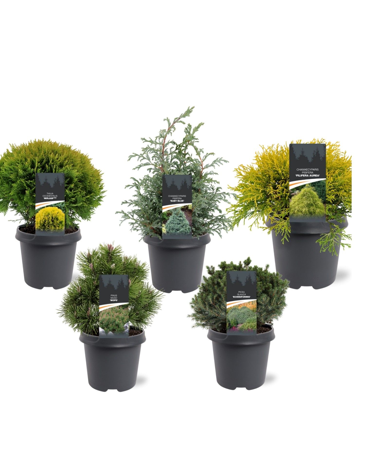 mixlaag C5 exclusief (mix kan afwijken van foto), D 23