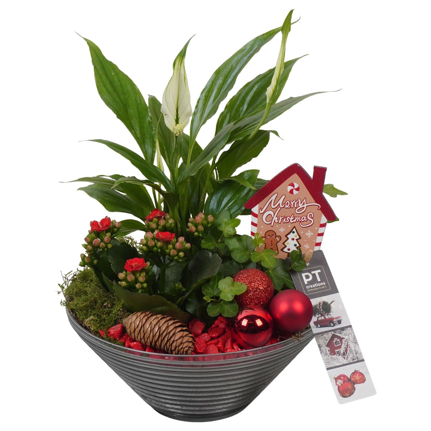 PTCHR7425 Arrangement Christmas Red in glas schaal, D 19 cm