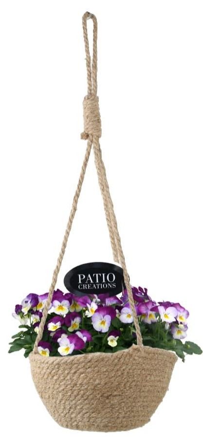 V683-9323 Viola hanger Alexandra, D 22