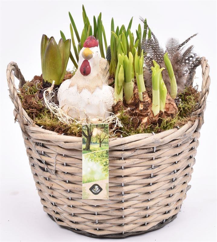 Wilg mand grijs met oor 23cm, D 23