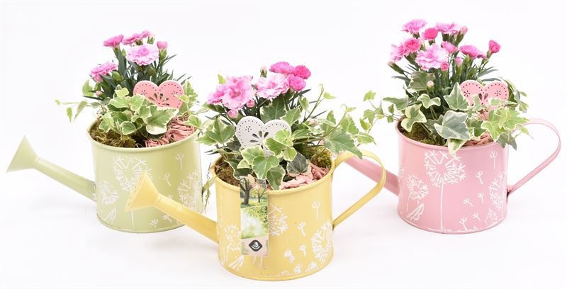 Zink gieter decor mix 13cm, D 13