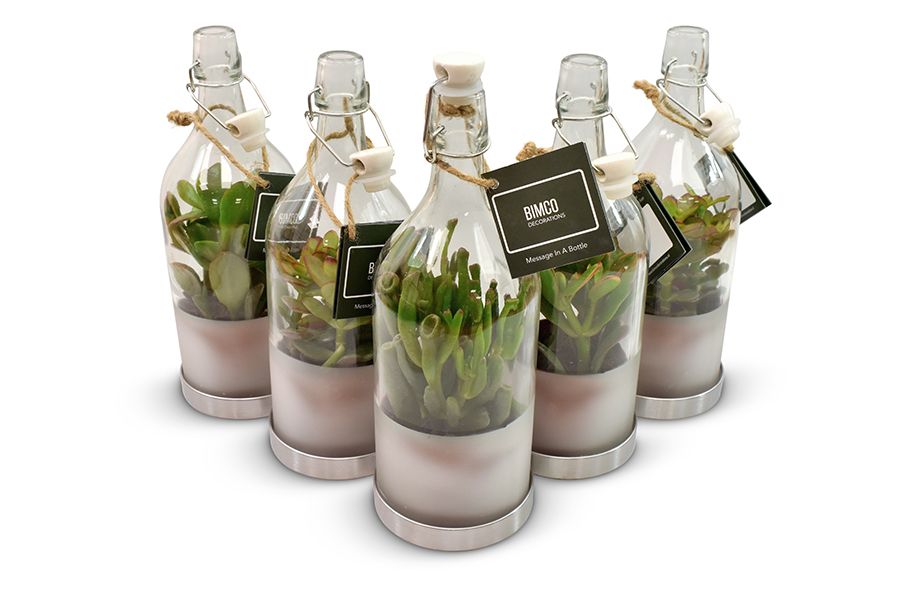 Crassula in Message in a Bottle, D 11