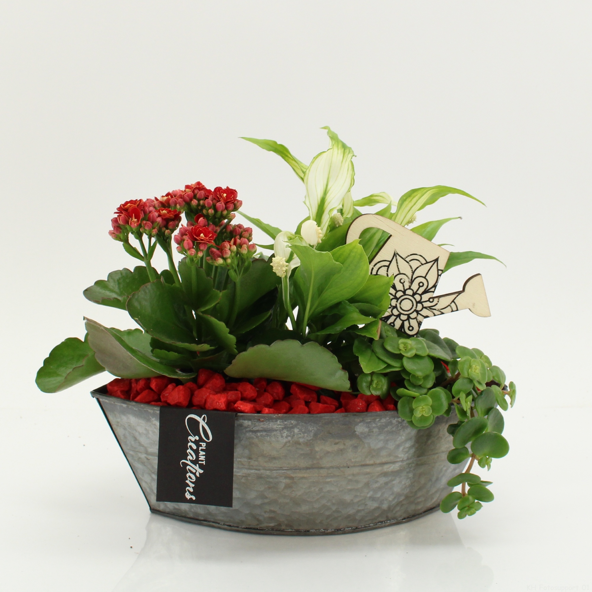 FDCR-2614R Basic Fundamentals, D 22