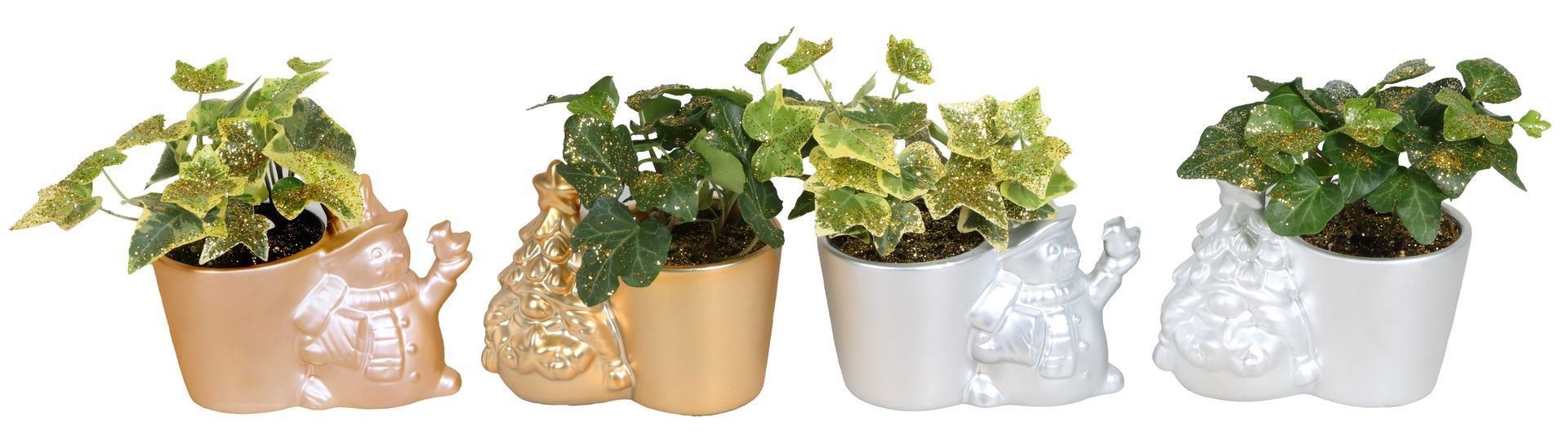 L 67441 With Hedera Helix Mix Glitter 6 cm, D 6