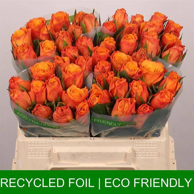 Роза од. Конфиденшиал 35, шт.