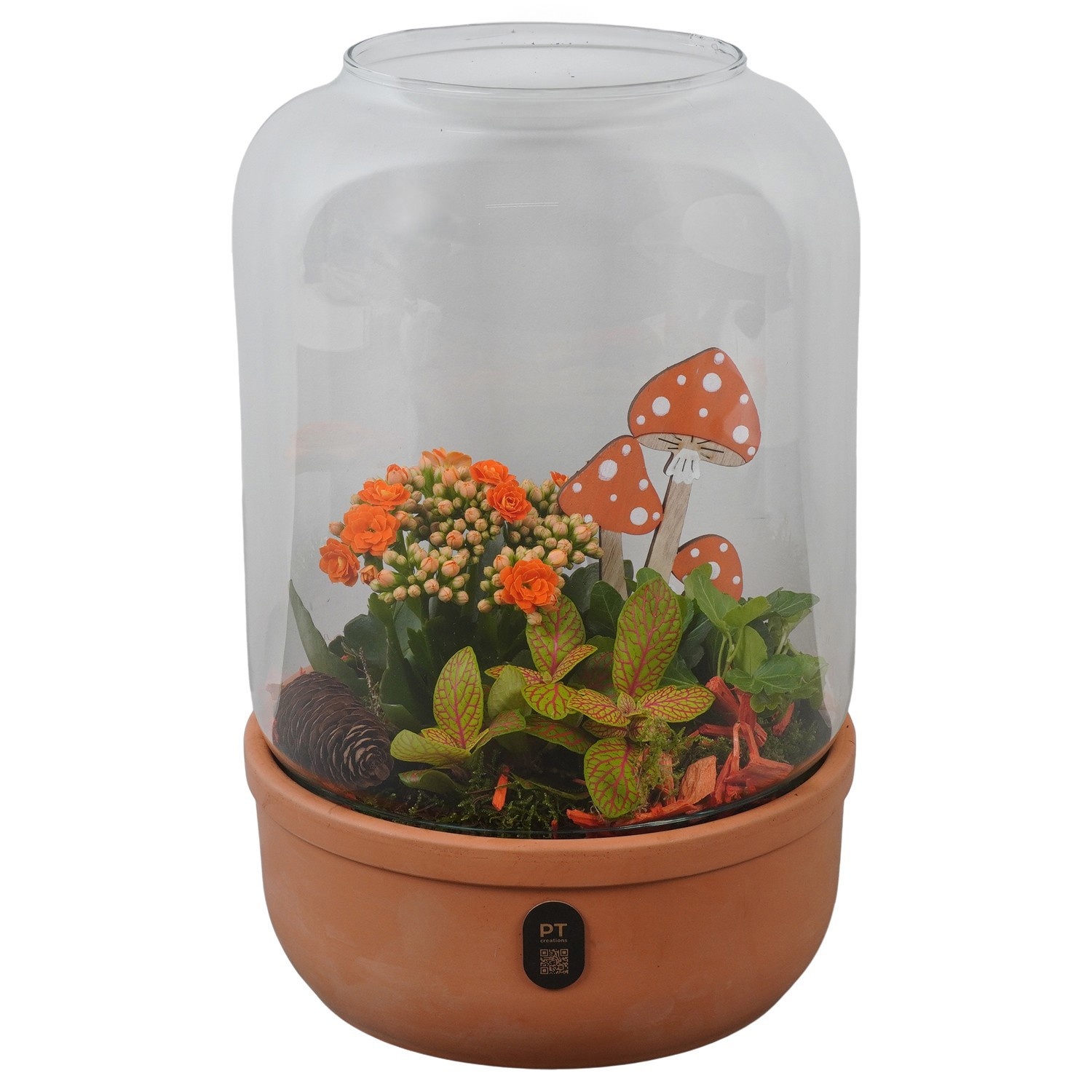 PTHG8245 Arrangement Autumn Glass in glazen terrarium, D 20