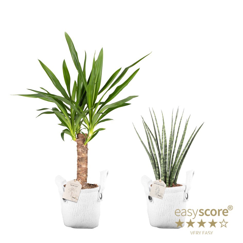 GREEN MIX 31411000 Knitwear White, D 14 cm