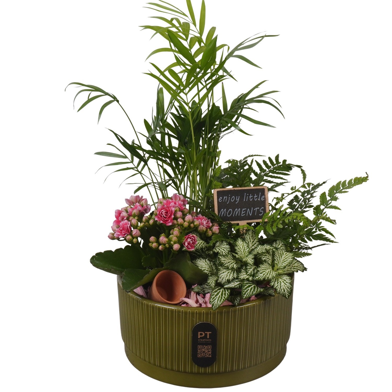 PTIB5125 Arrangement Indoor in keramiek schaal, D 19