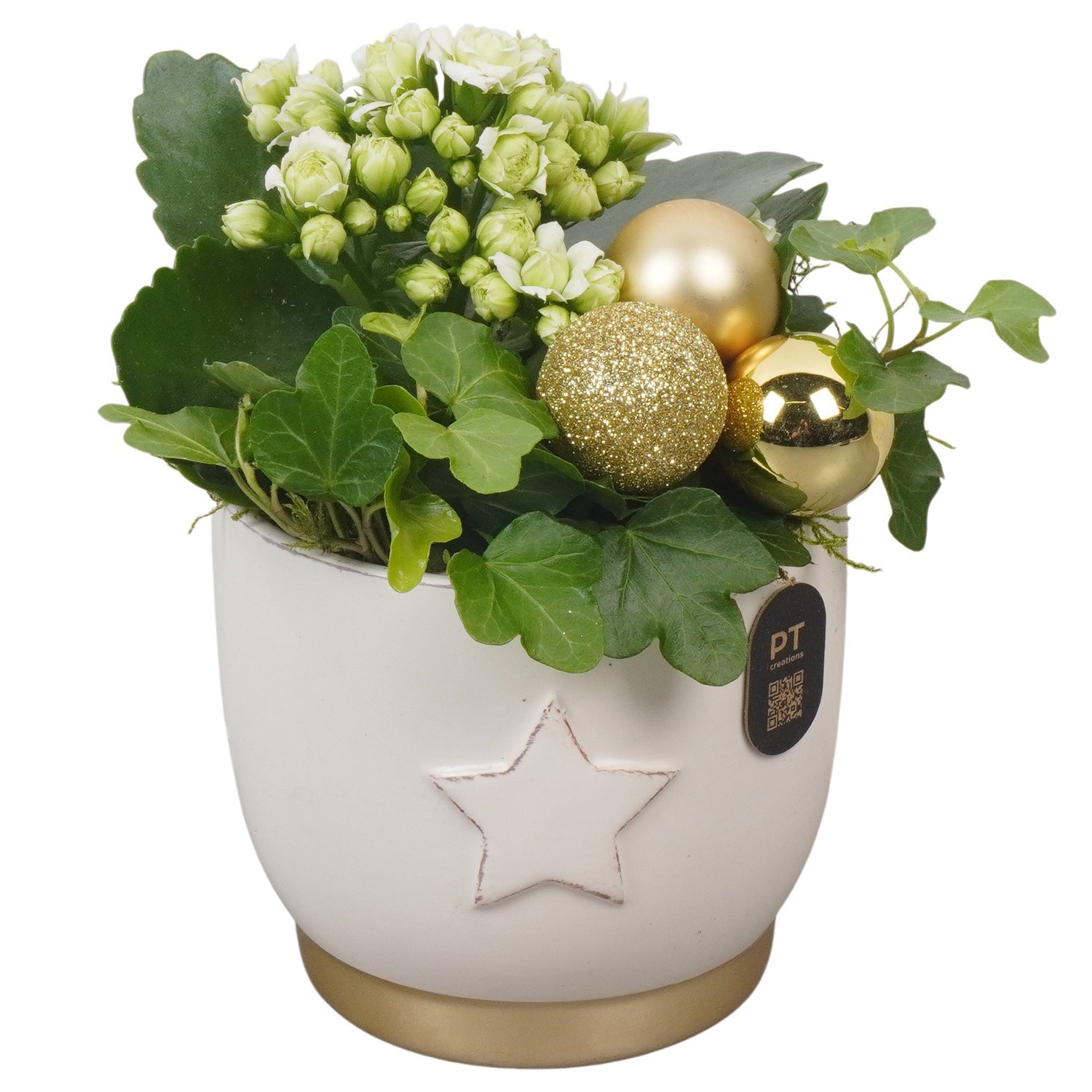 PTCHG4660 Arrangement Christmas Gold in keramiek pot, D 11