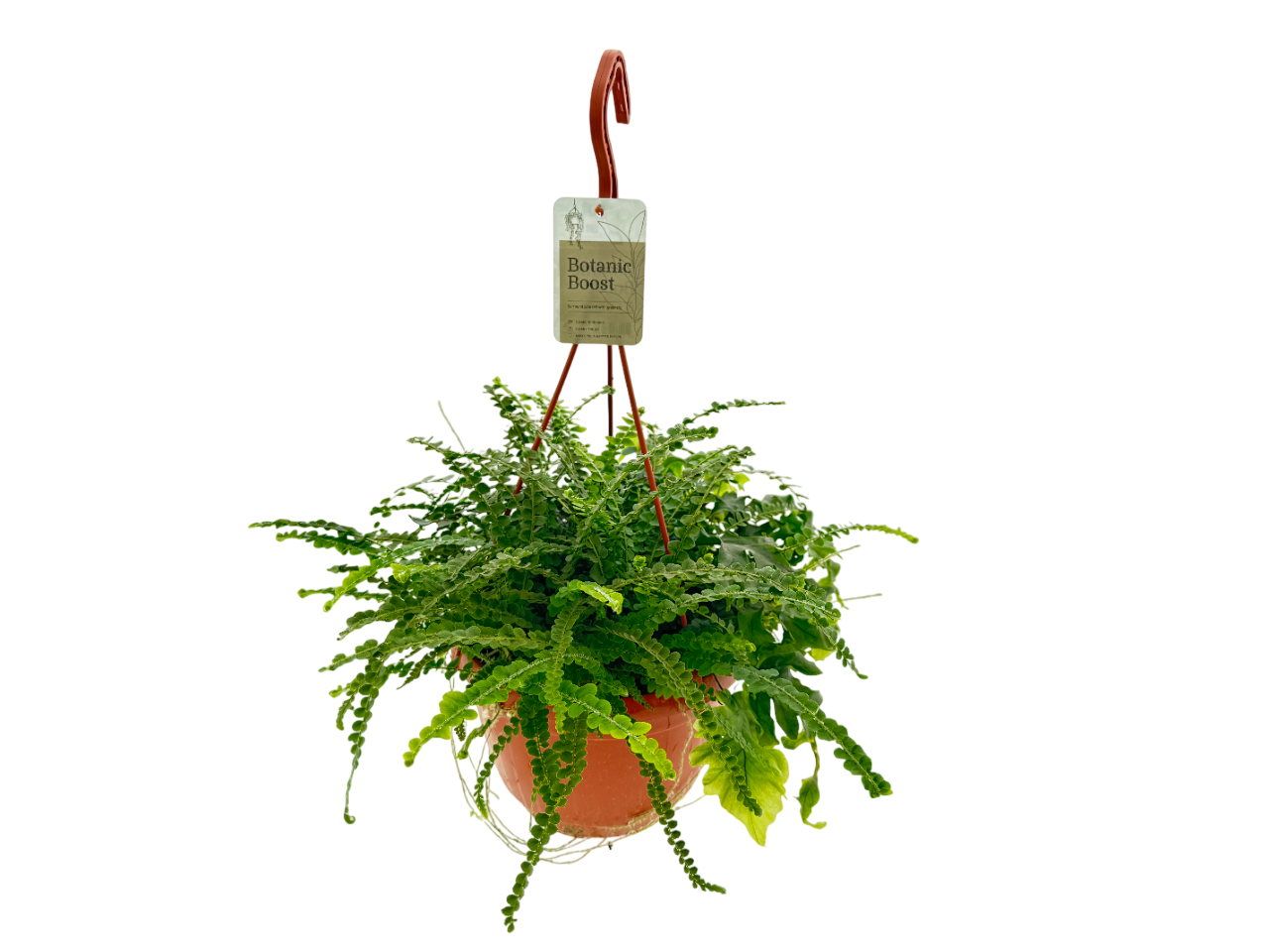 BB Varen mix HP21, D 21