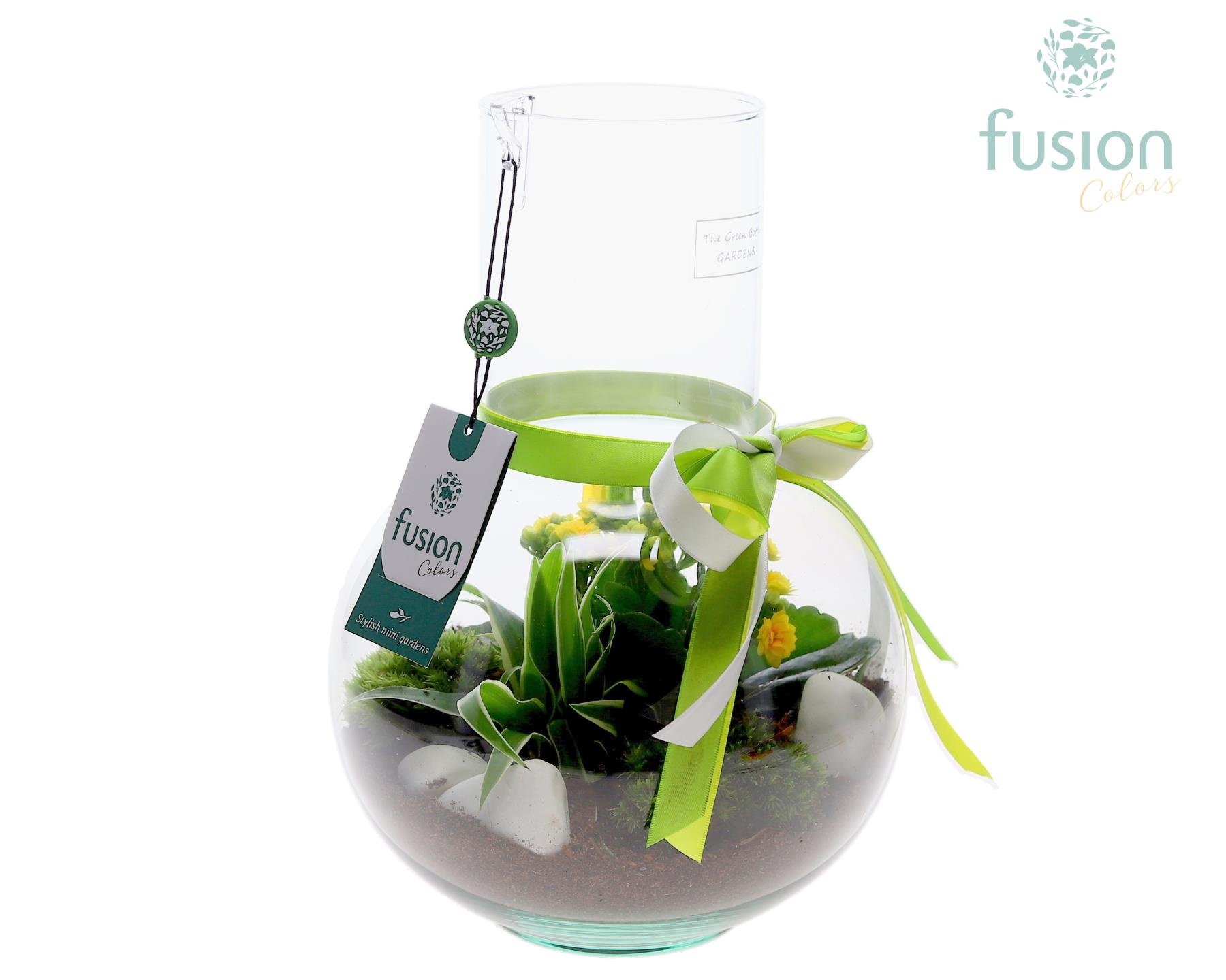 Green Bottle Suzanne Medium met arrangement, D 21