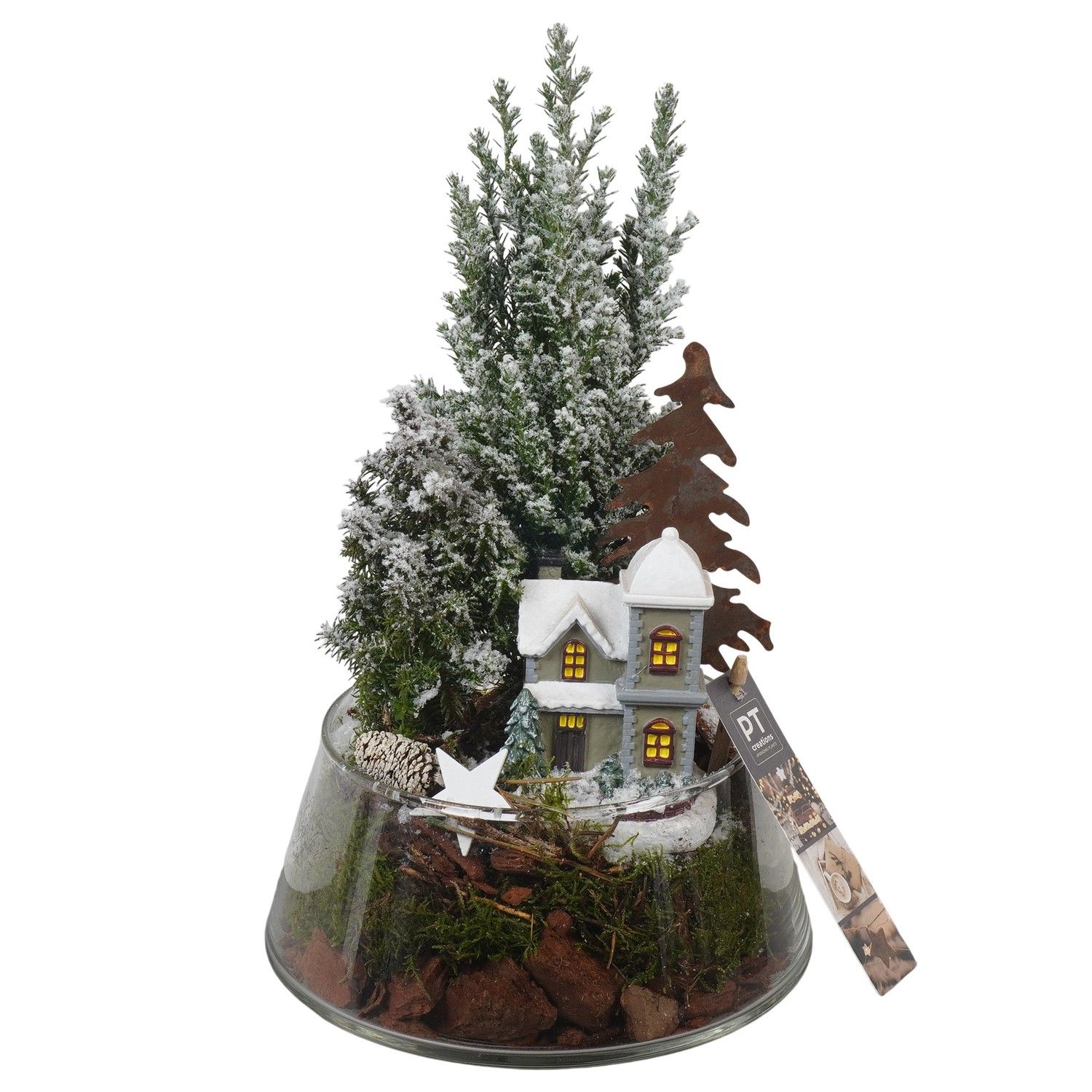 PTCWW6834 Arrangement Winter in glas schaal, D 18 cm