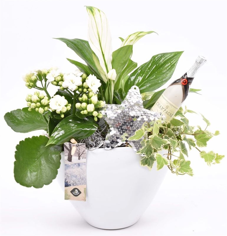 Keramiek wit ovaal 18x11cm, D 18