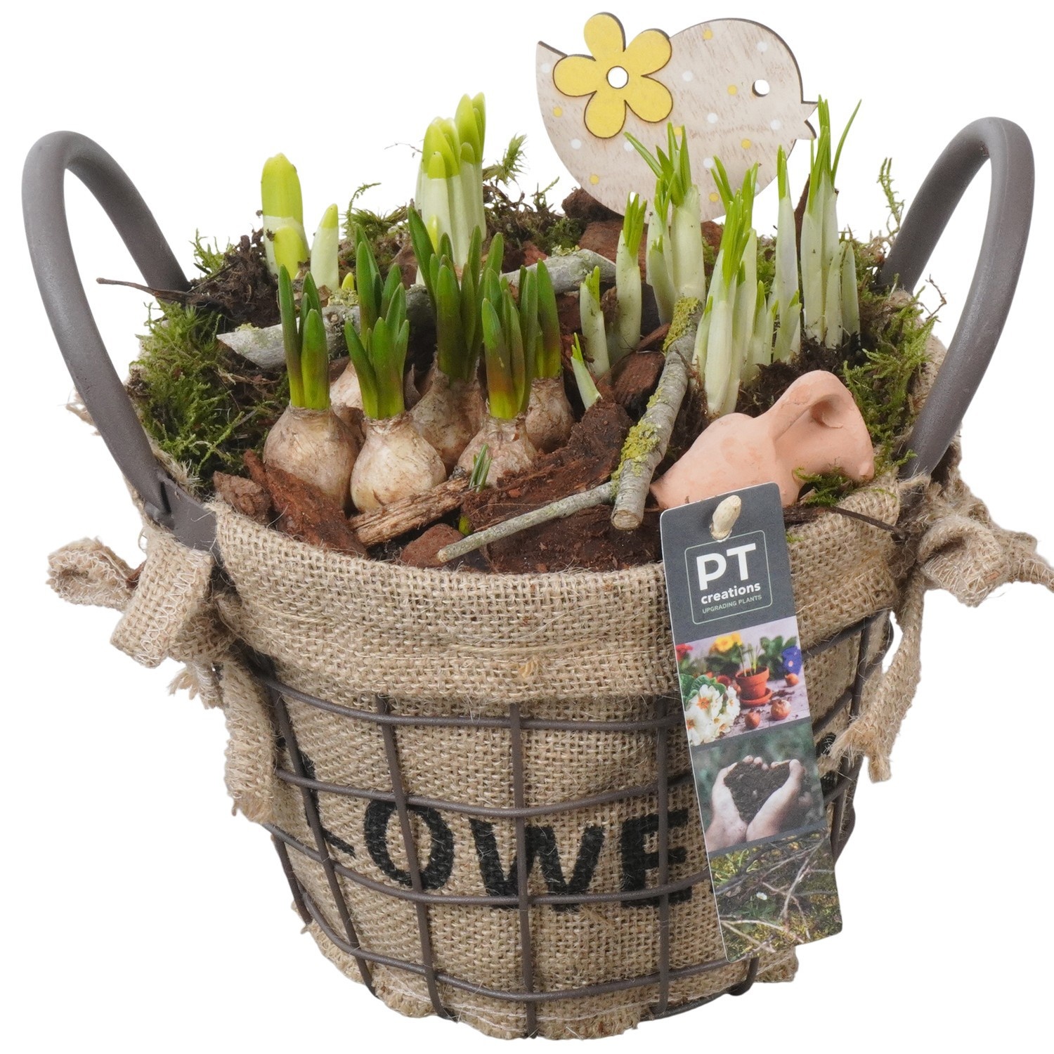 PTBM3863 Arrangement Flower Bulbs Mix in metalen pot, D 19