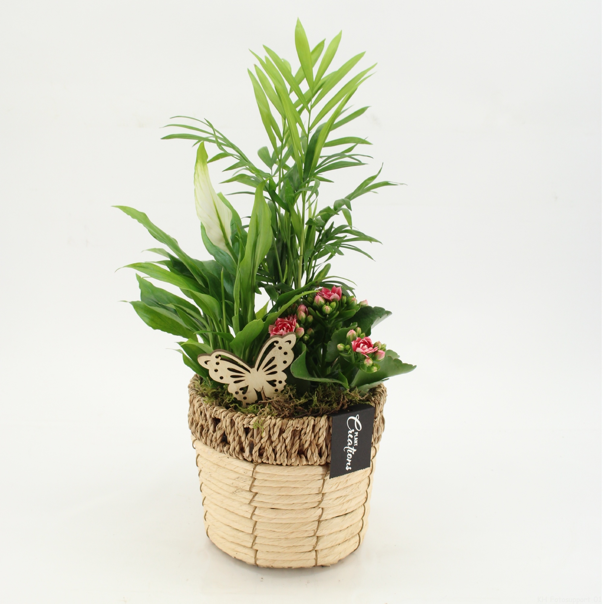 ESCR-2611RZ Essentials, D 16