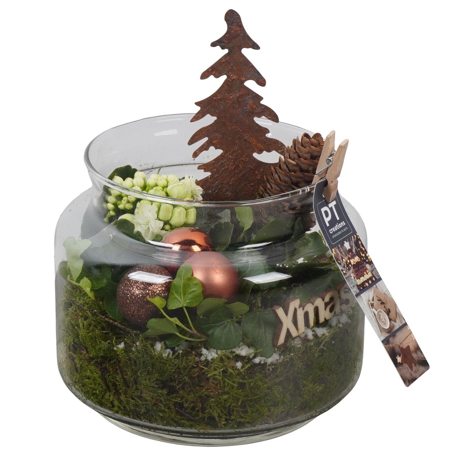 PTCHB9863 Arrangement Christmas Bronze in glazen pot, D 16 cm