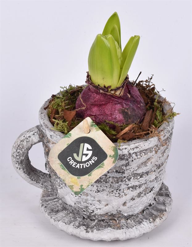 Cemt kop met schotel 9/12 cm, D 9