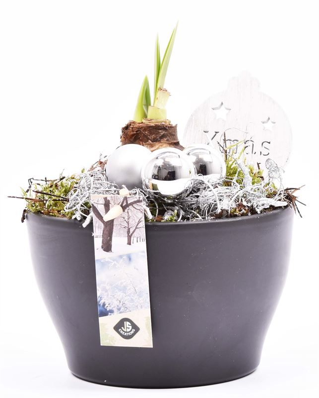 Ker. schaal mat zwart 15.5cm, D 16 cm