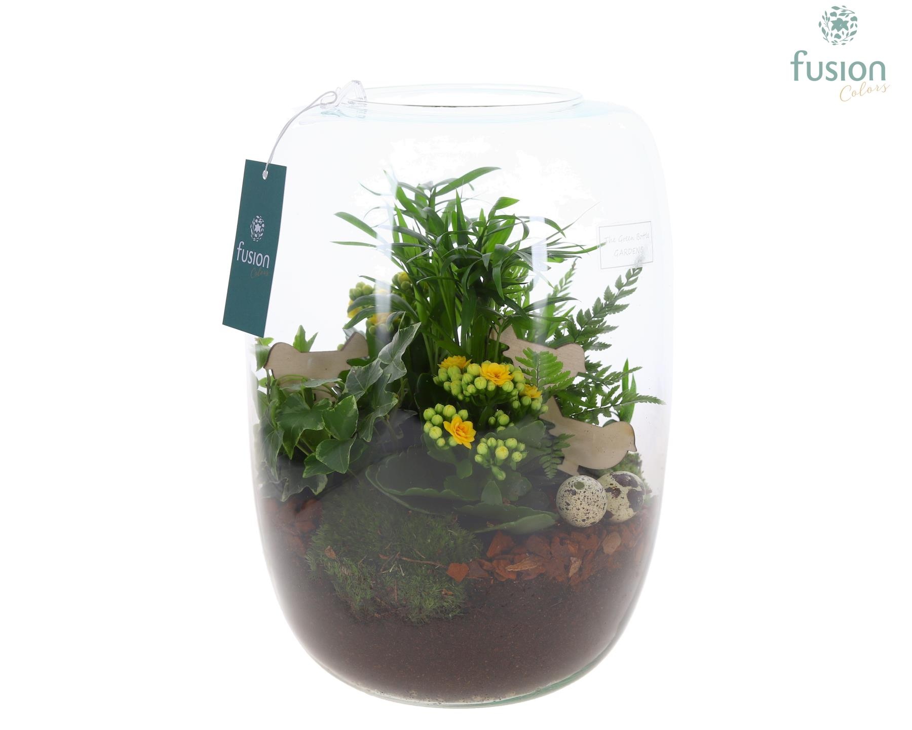 Green Bottle Isabella XLarge Pasen met Arrangement, D 23