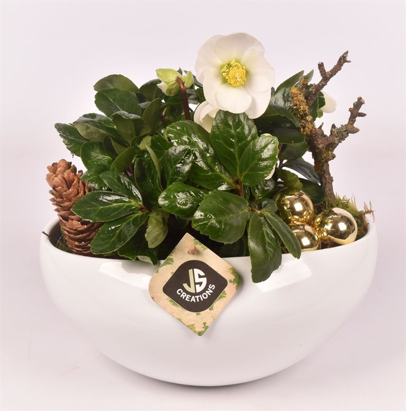 Keramiek kano wit 25x16 cm, D 25 cm