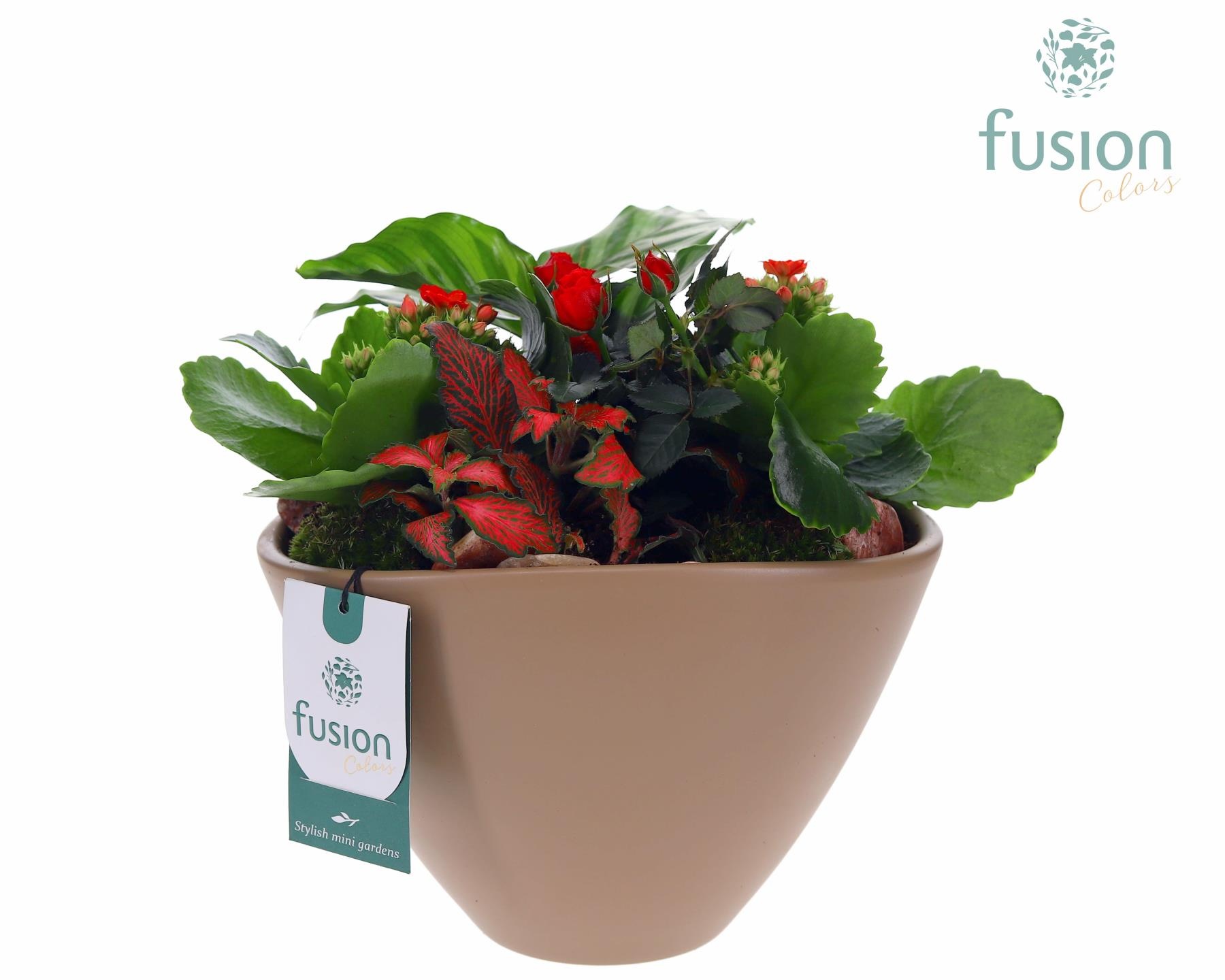 Pot keramiek Oval Large beige Love met arrangement, D 21