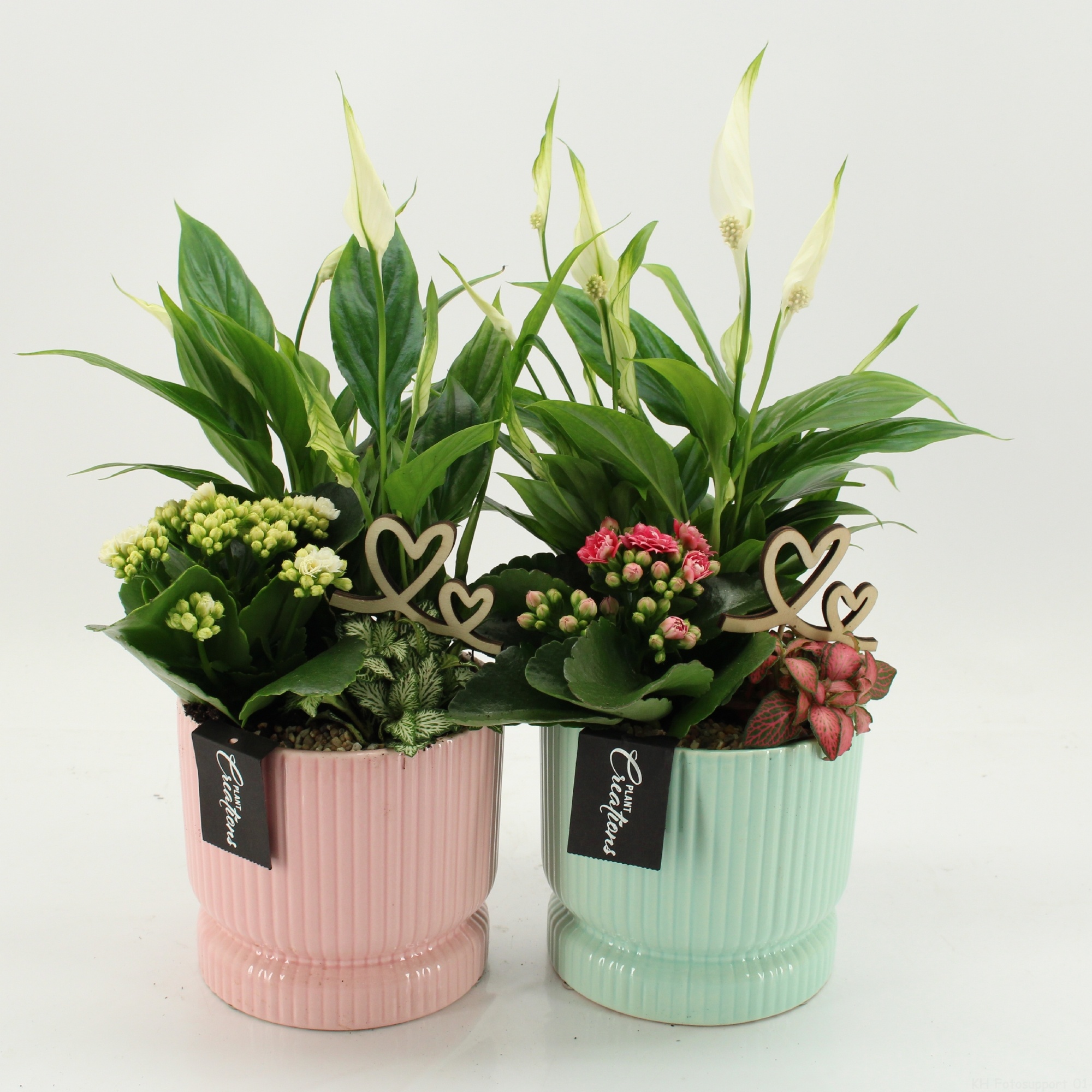 RMCR-2614MA Romantic Essentials, D 14