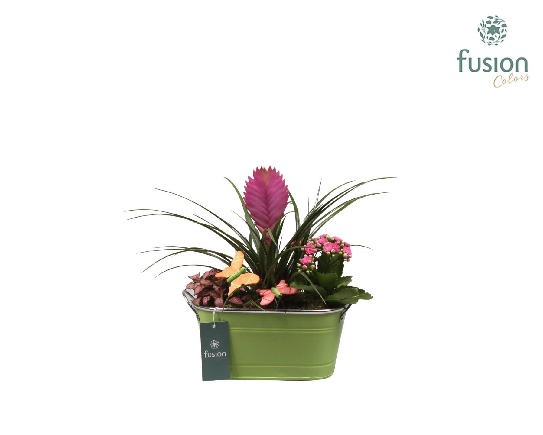 Zinken pot ovaal met voorjaarsarrangement en vlinders, D 23