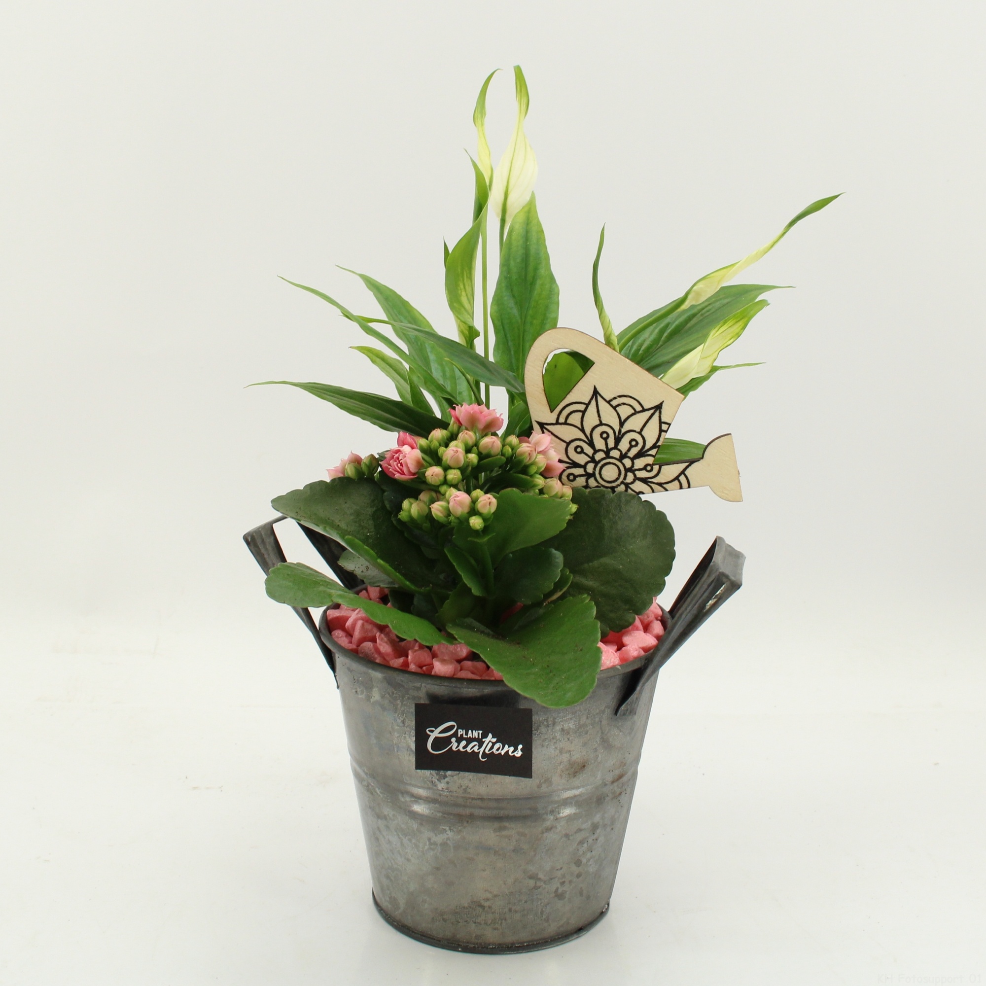 FDCR-2613RZ Basic Fundamentals, D 14