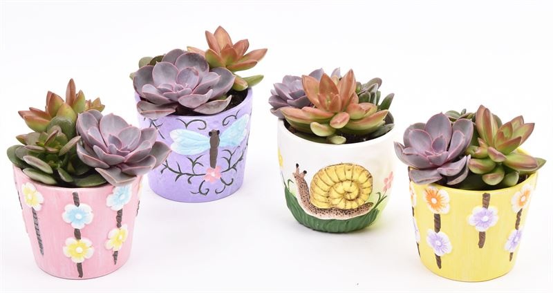 Keramiek sierpotjes 10cm, D 10