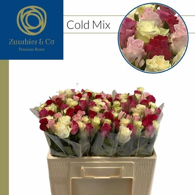 Роза од. Микс в пачке 50, шт.