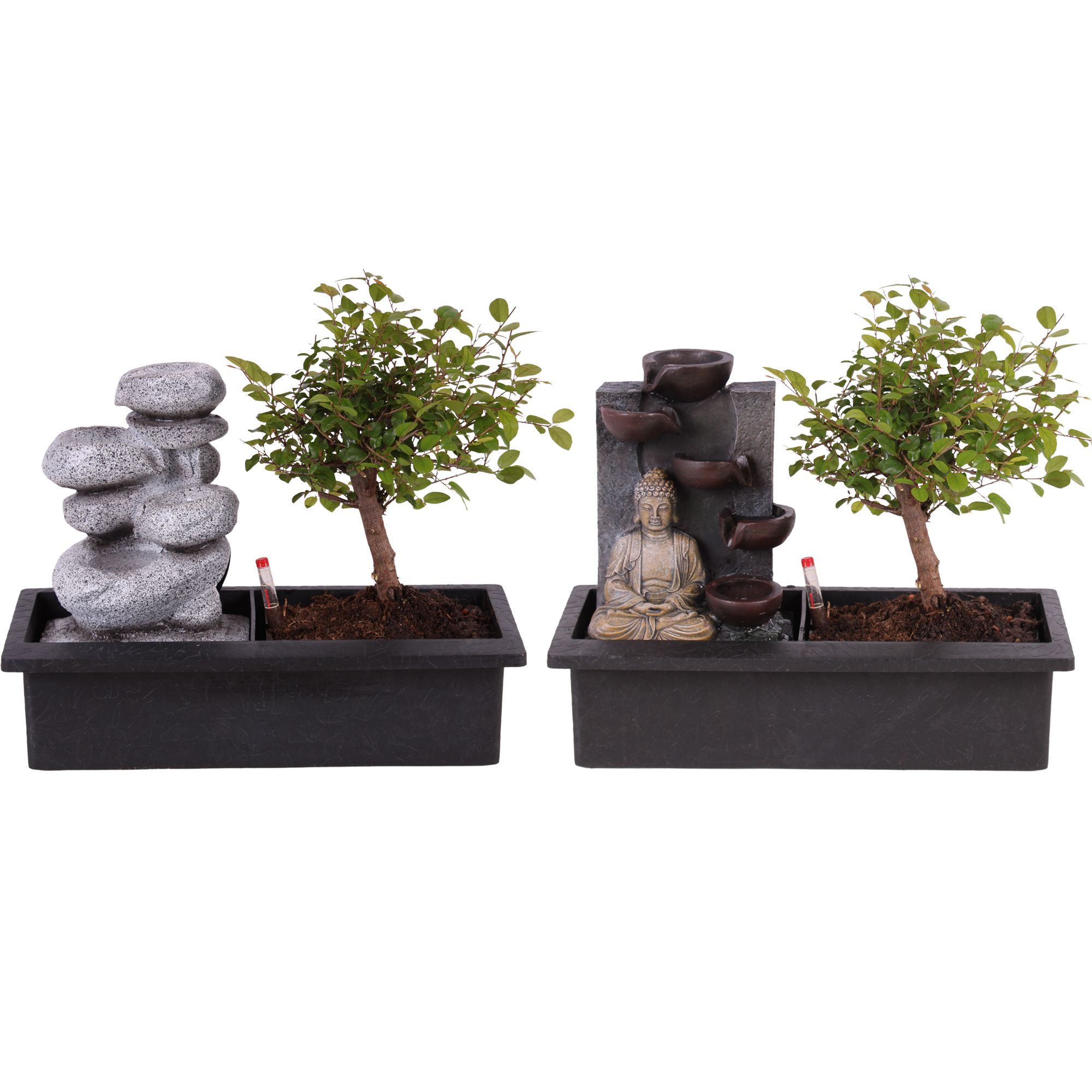 Bonsai Mixed Ball Easy Care in ø29cm Waterfall, D 29