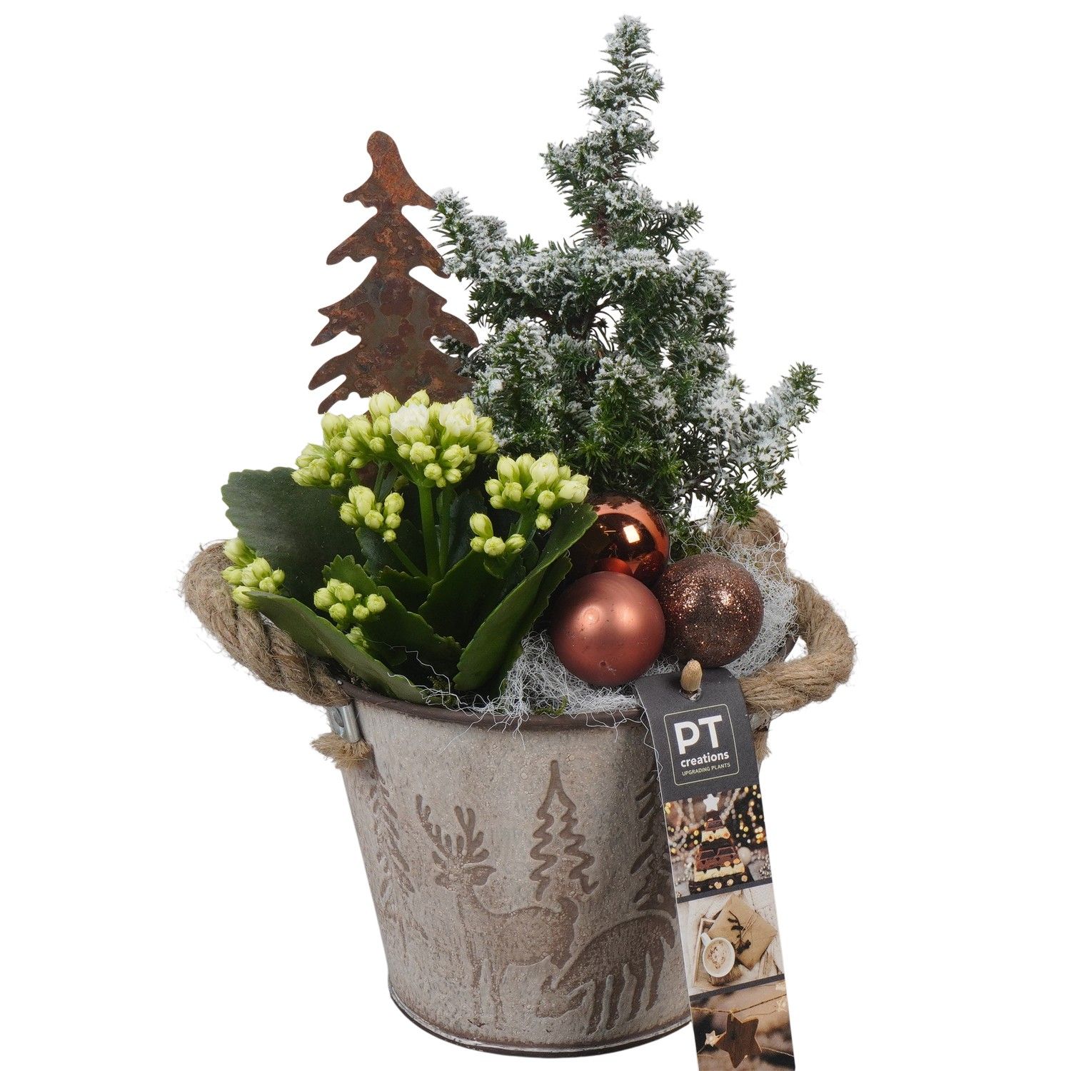 PTCHB9782 Arrangement Christmas Bronze in metalen pot, D 13 cm