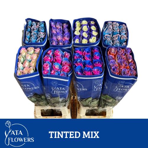 Роза од. Овериг Крашеная (краш. ) 70, шт.