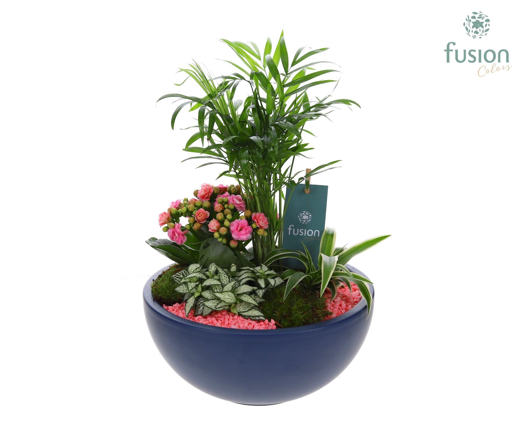 Keramiek Moonschaal Large met Arrangement, D 22