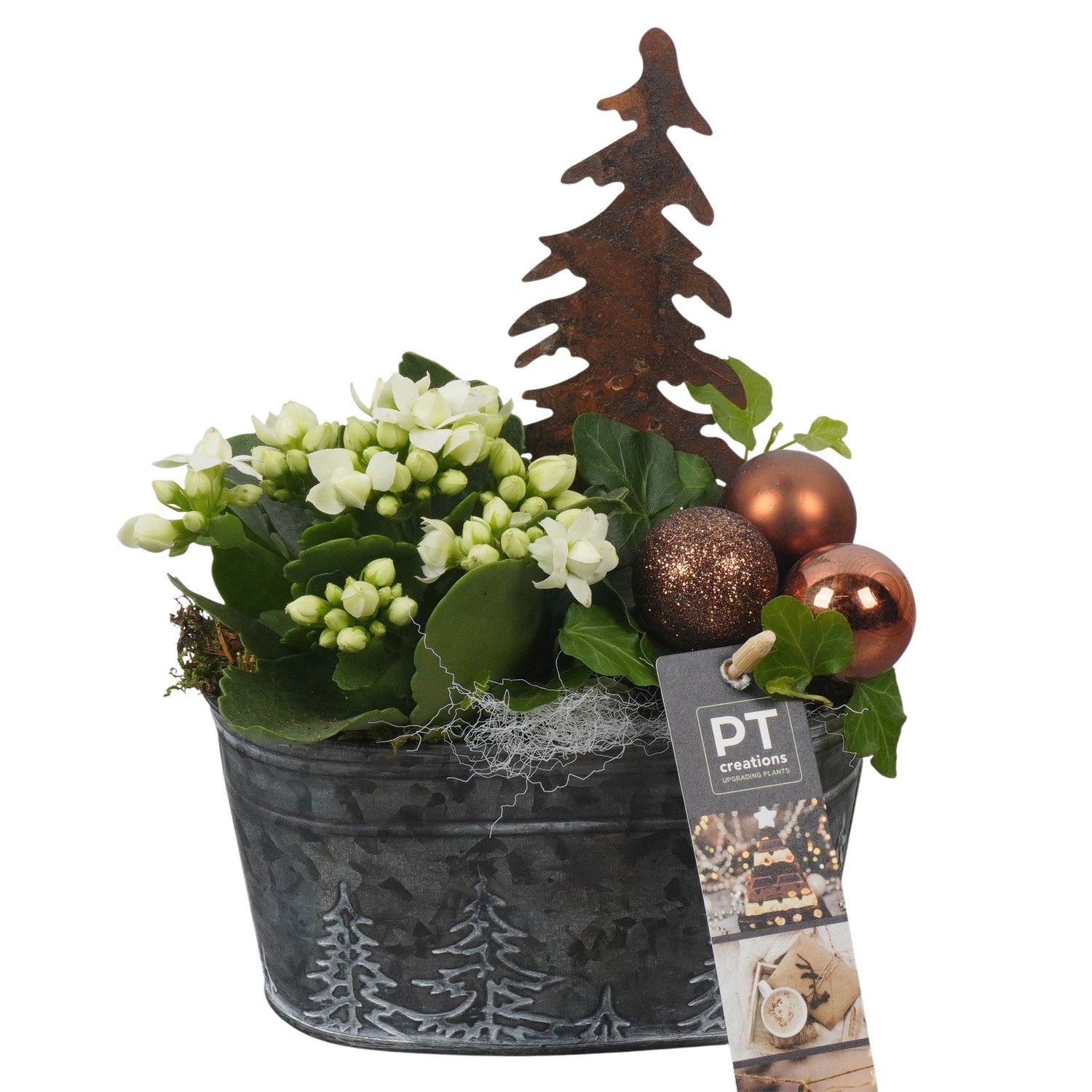 PTCHB9785 Arrangement Christmas Bronze in metalen pot, D 15 cm