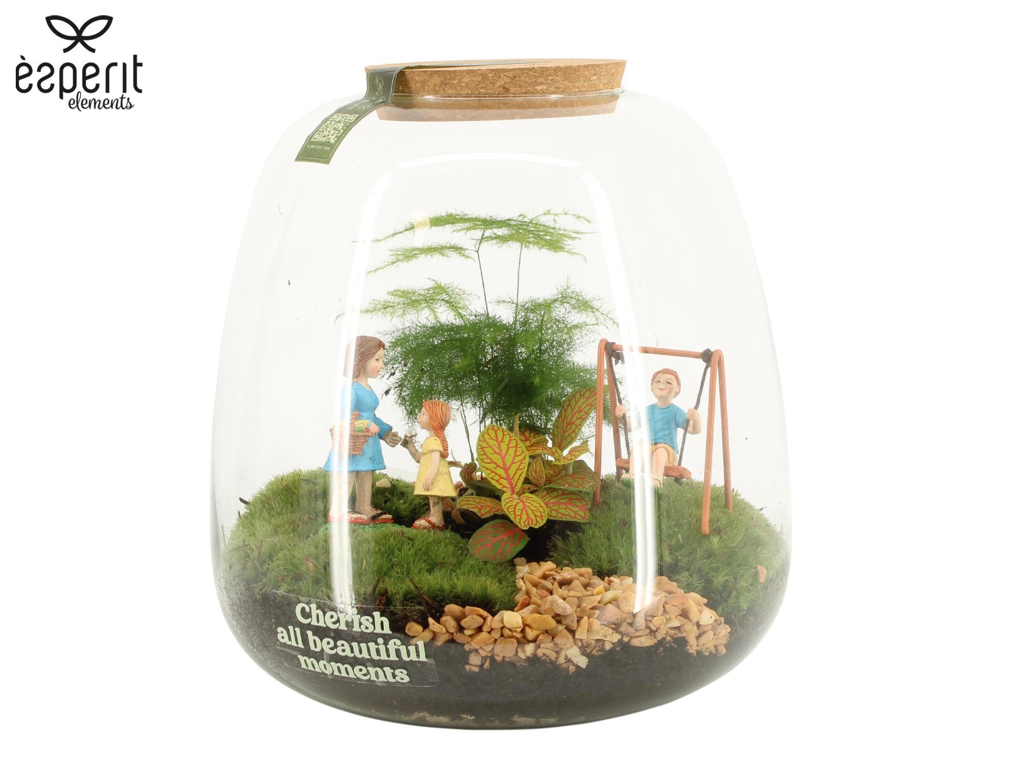 90983: Little Green Moments Terrarium, D 23