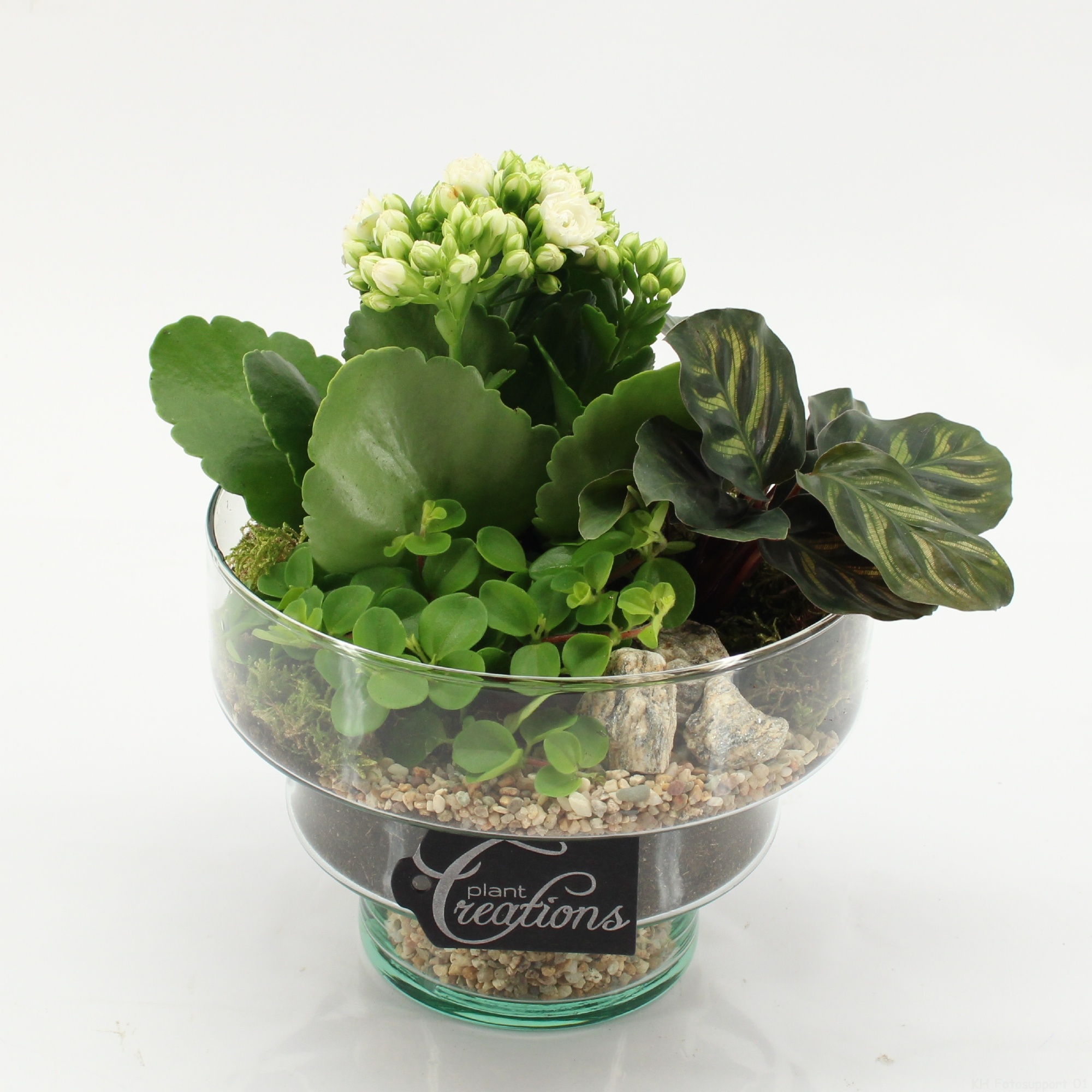 ESCR-2627W Essentials, D 17