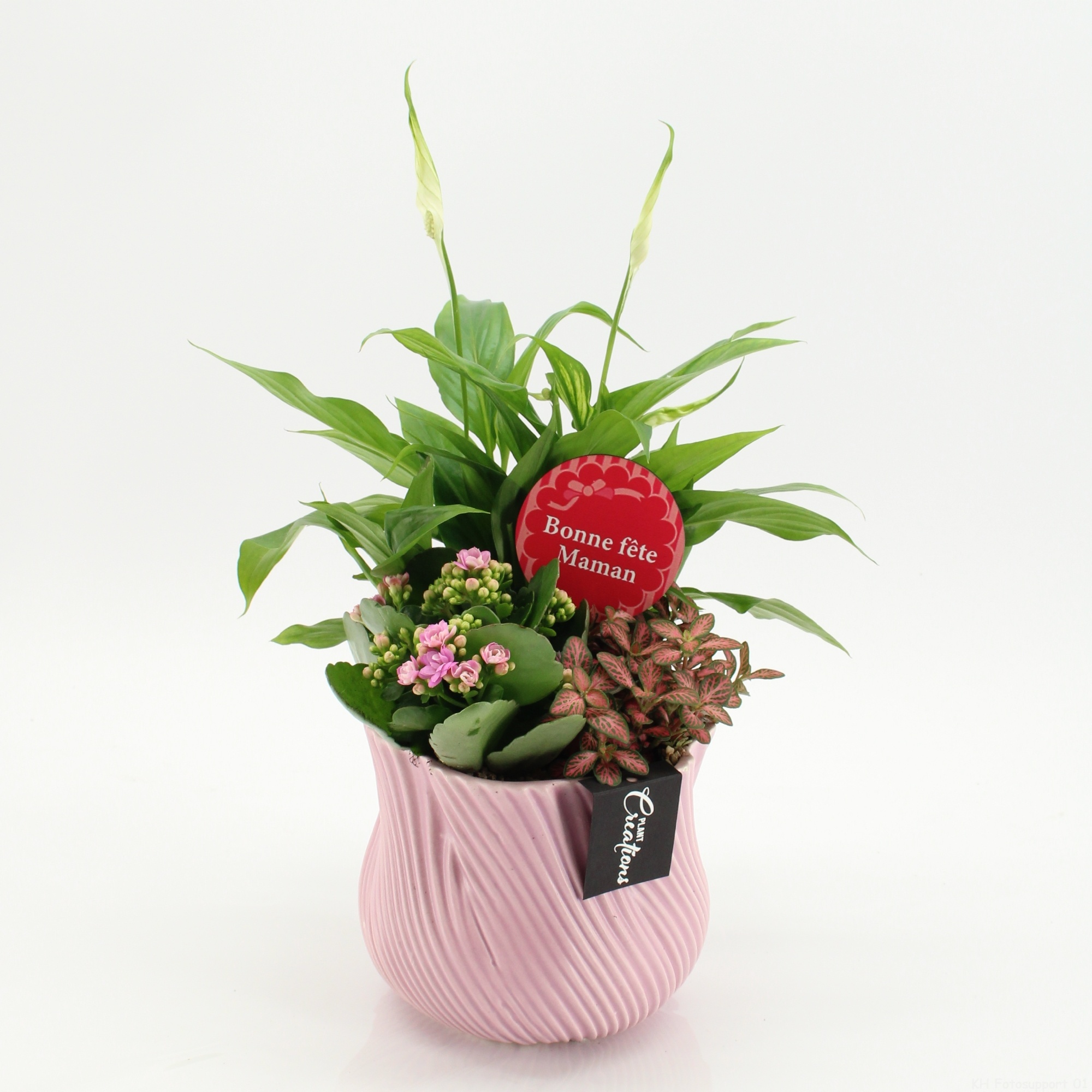 FRMD-2616RZ Bonne Fete Maman, D 15