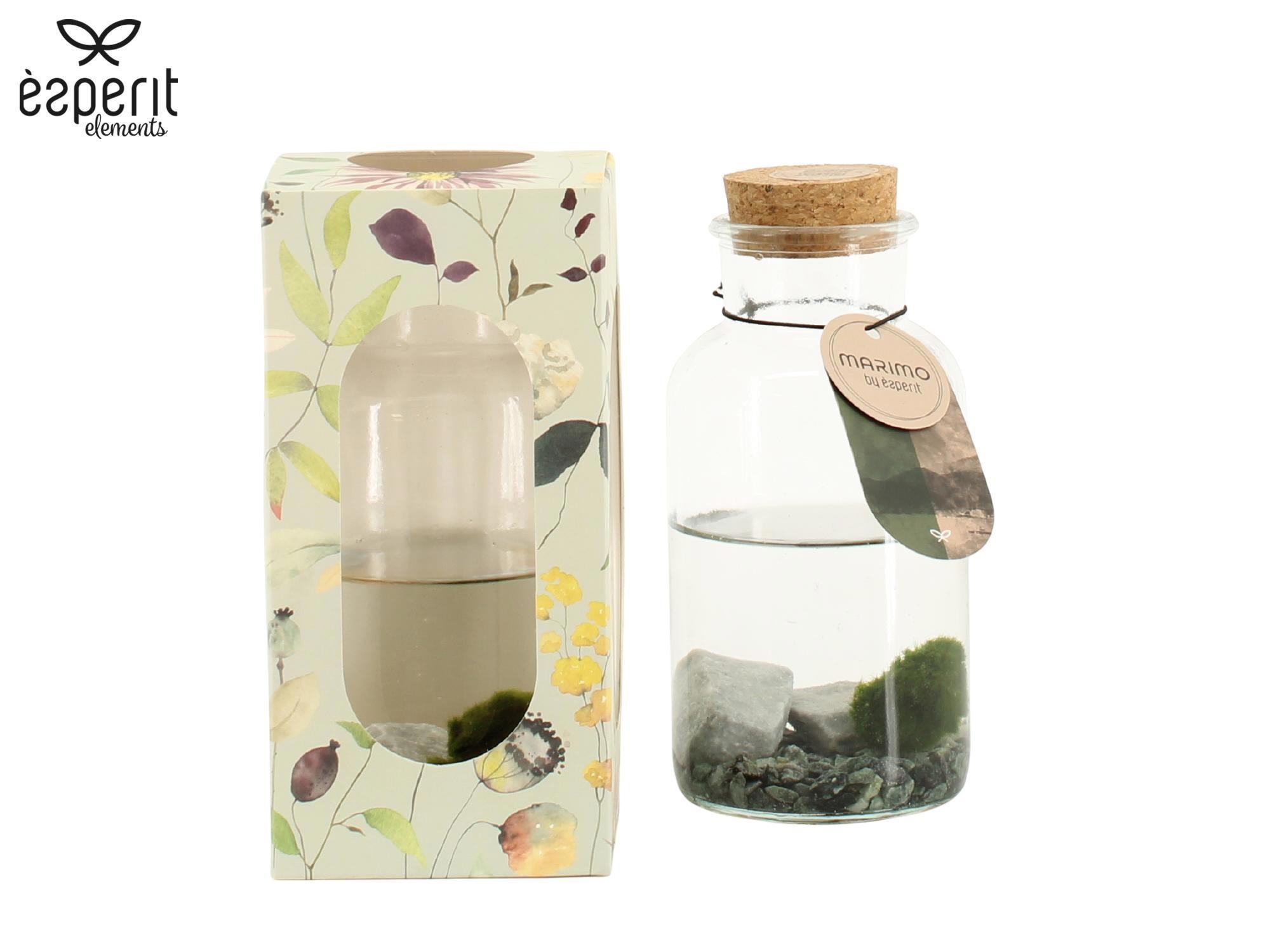 90923: Marimo arrangement, D 8