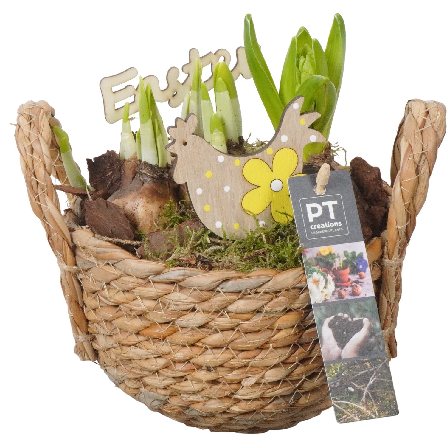 PTBMP5684 Arrangement Easter Bulbs Mix in rieten mand, D 15