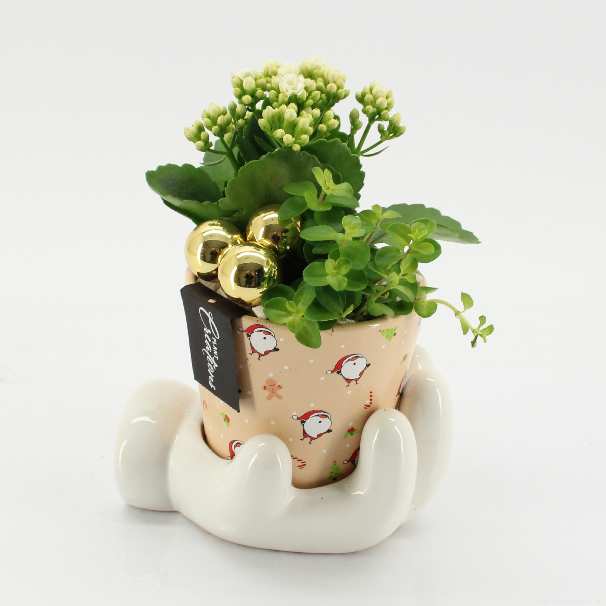 XMAS-25267 Kerst creatie, D 16 cm XMAS-25267 Kerst creatie, D 16 cm