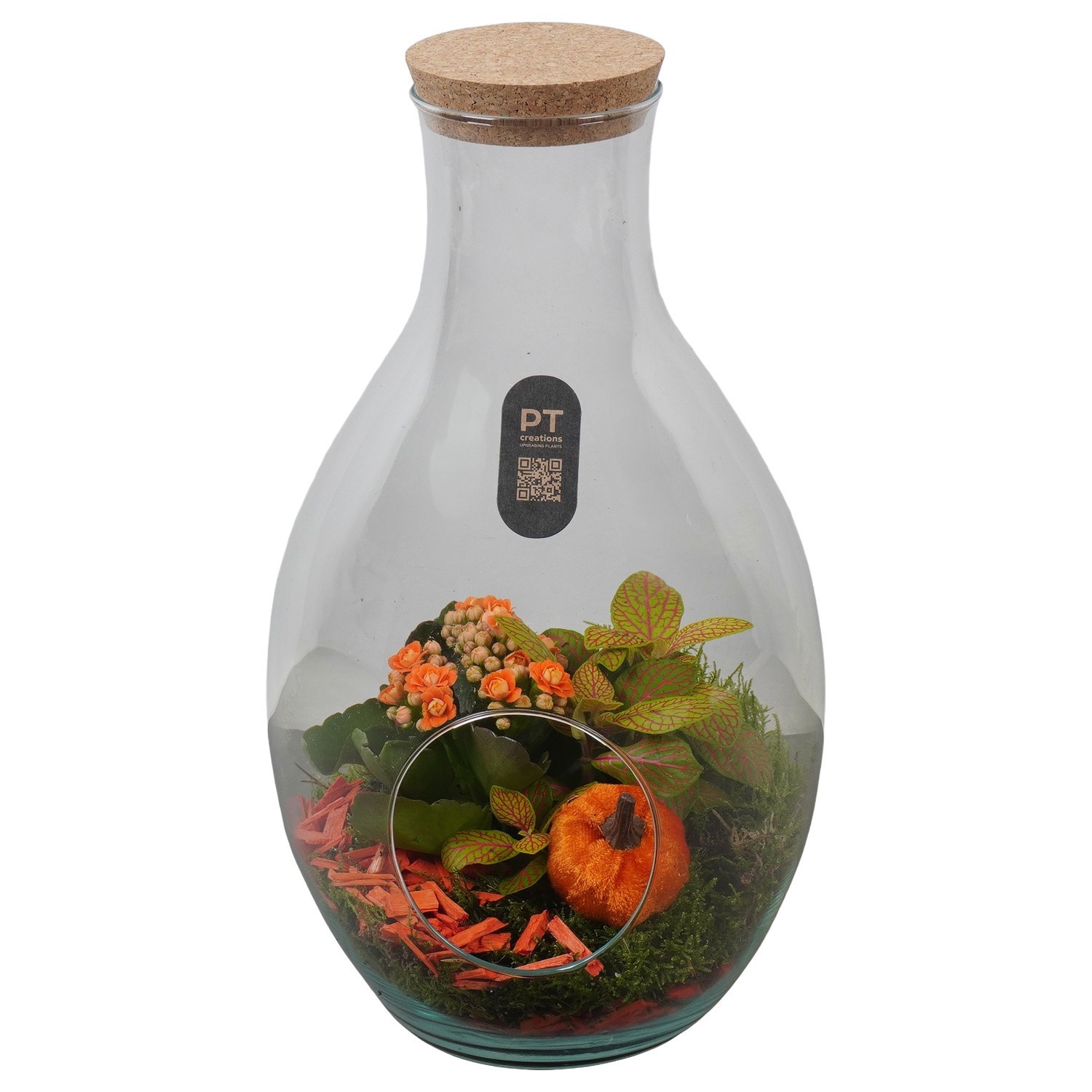 PTHG8251 Arrangement Autumn Glass in glazen fles, D 18