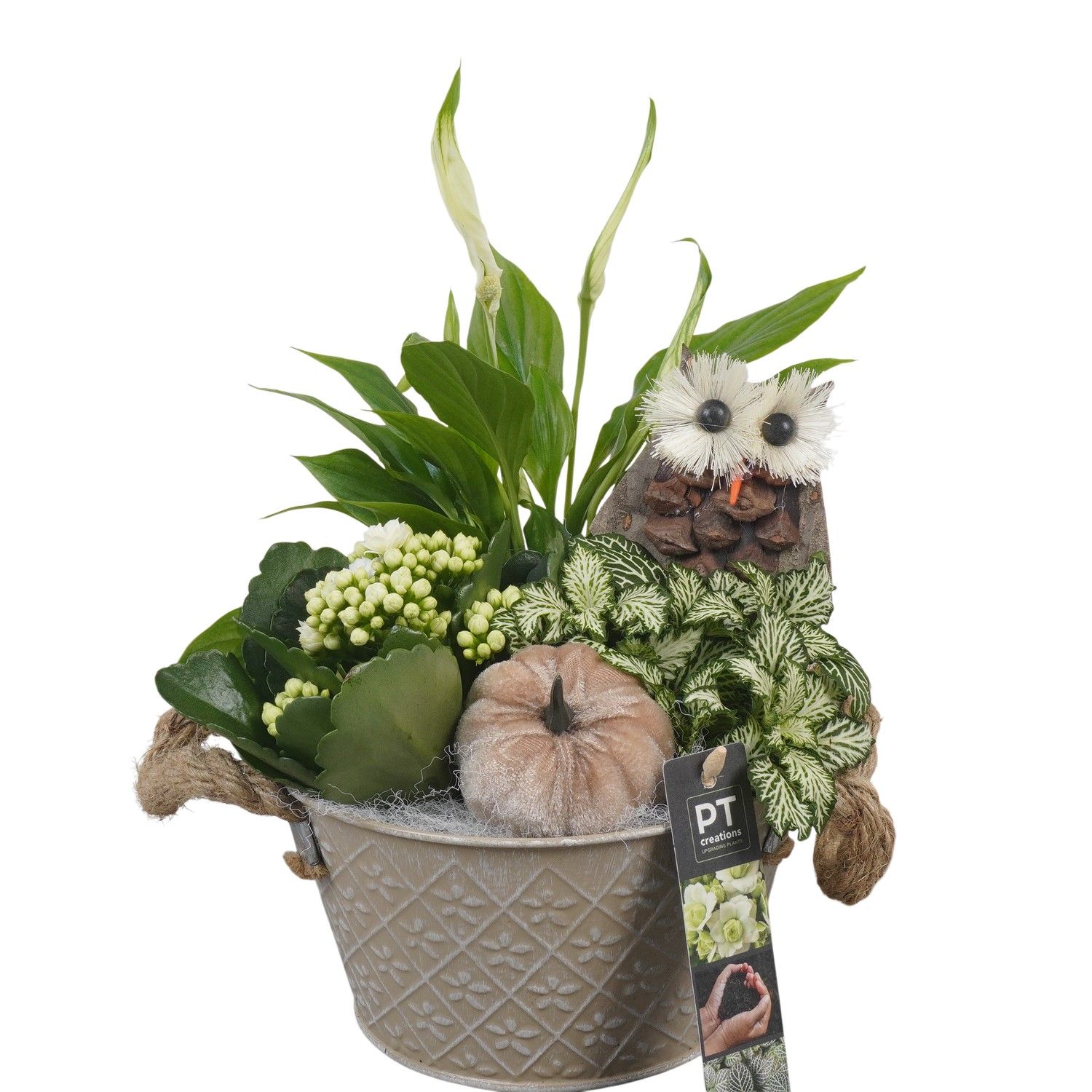 PTHI5385 Arrangement Herfst Indoor in metalen bak, D 18 cm PTHI5385 Arrangement Herfst Indoor in metalen bak, D 18 cm