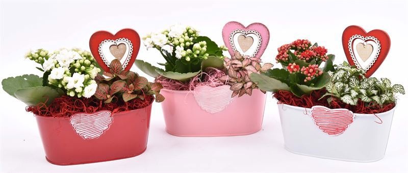 Zink met hart mix 19x10cm, D 19