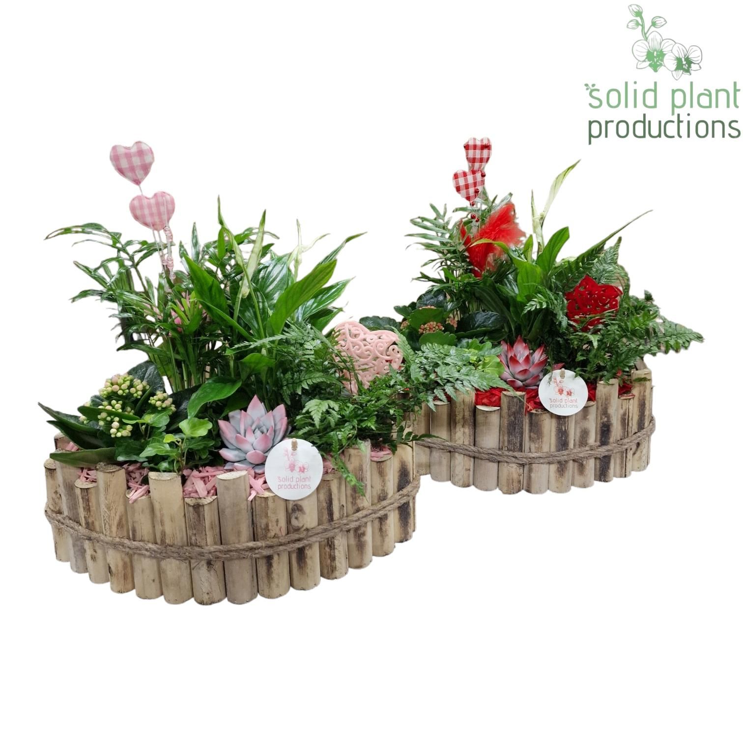 HVSCE006 Napoli Large Red/Pink Mix, D 35